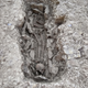 A skeleton with skull placed at its feet.